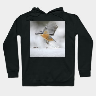 Nuthatch in flight Hoodie